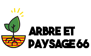 ARBRE-ET-PAYSAGE-66