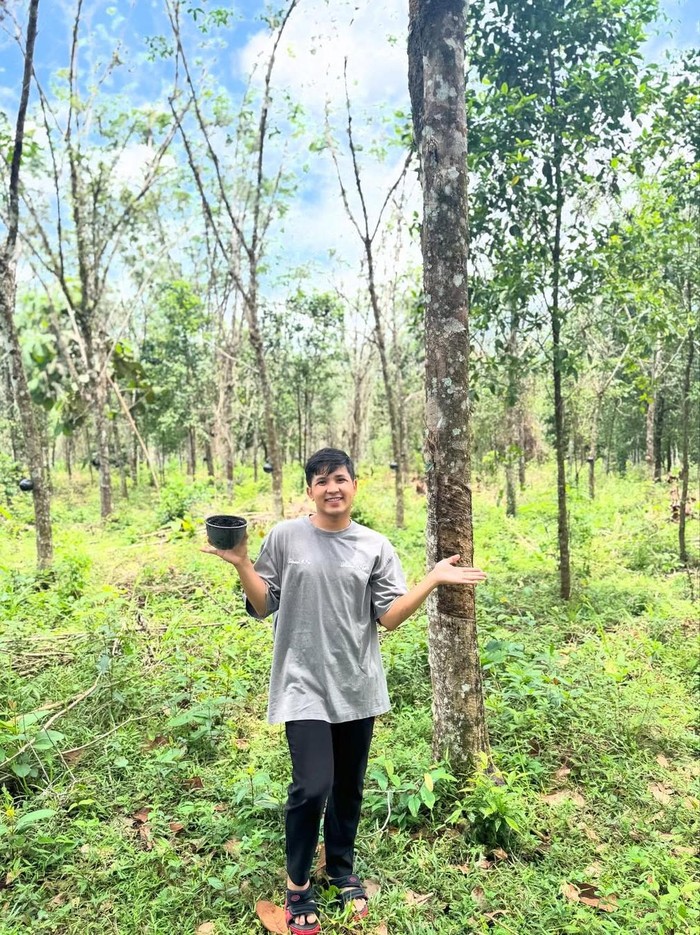 Harga Kebun Karet Jirayut di Thailand